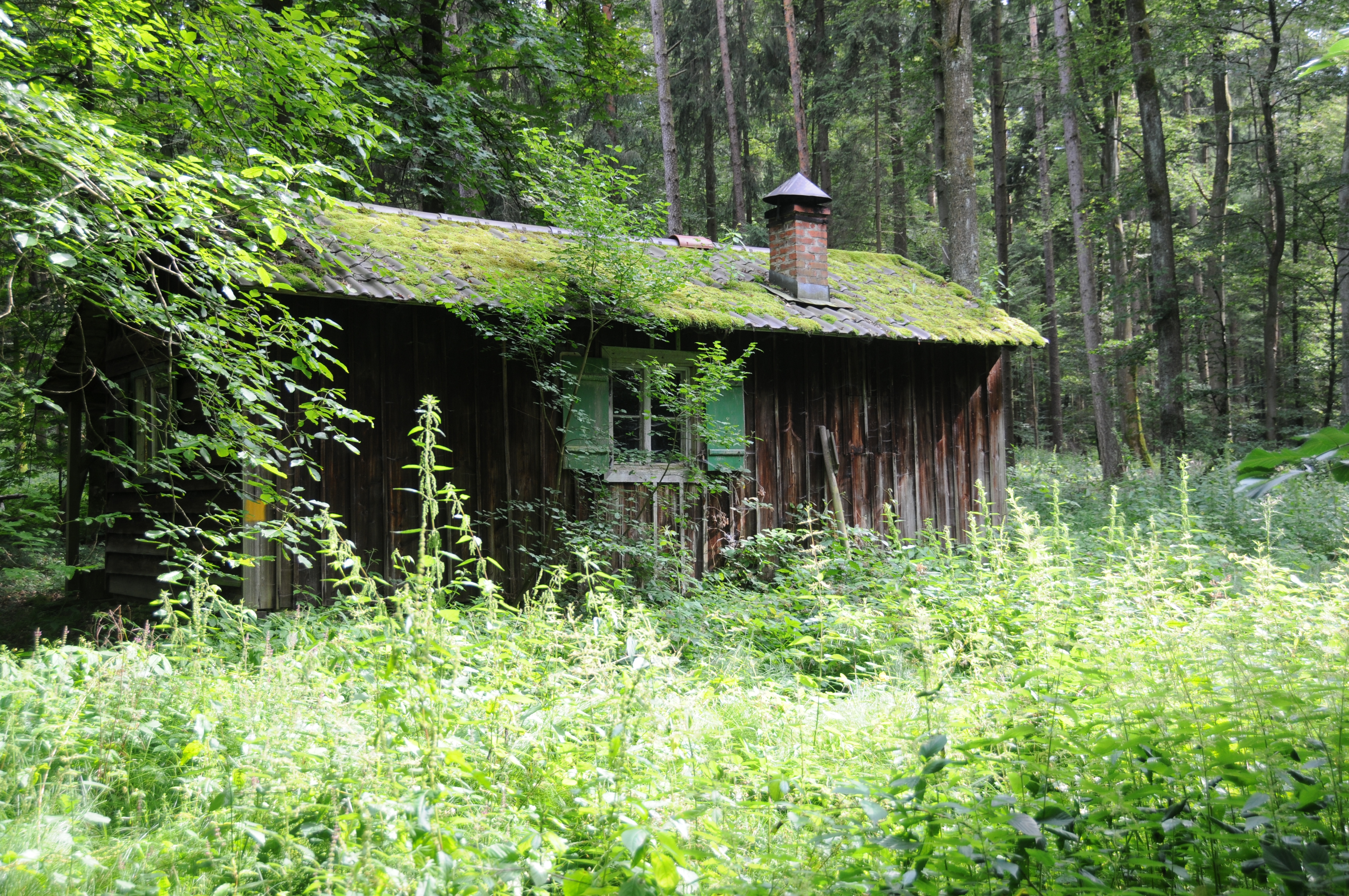 Forsthütte im Wald bei Ammerfeld
